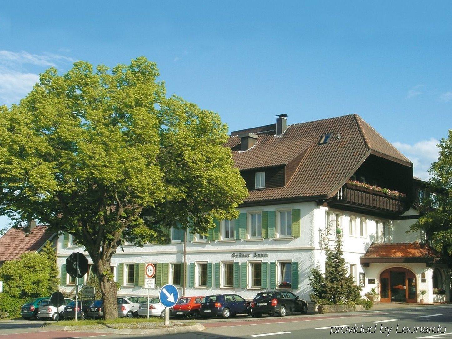 Flair Hotel Grüner Baum Donaueschingen Exterior foto